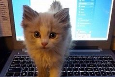 Ну я ведь лучше, чем интернет...