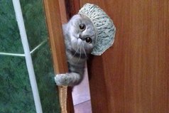 Ну что тебе? Я моюсь.