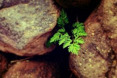 Опыт научил меня, что если люди делают что-то против тебя, в конечном счете это пойдет тебе на пользу.