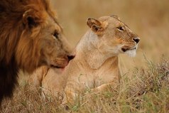 Умейте говорить «спасибо» тому, что осталось за спиной. Оно непременно научило нас чему-то важному.