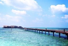 На Земле есть три места, где тепло: родительский дом, объятия любимого... и Мальдивы!