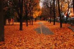 Вы замечали, что у каждого месяца в году есть свой запах? Для меня лучше всего пахнут октябрь и май.