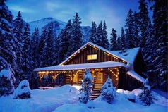 Пусть Новый год, как сказочная птица, под сказку сна в ваш дом войдет, пусть все хорошее, что было повторится, а все плохое пусть уйдет! 