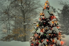 Мой статус ушел в лес, наверно за ёлкой.  