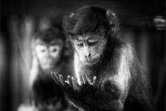 Получила зарплату... Пытаюсь ее рассмотреть...