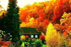 Пусть эта осень будет полна сюрпризов.