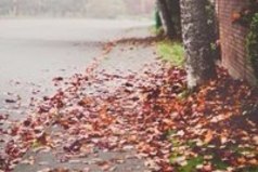 Миллионы женщин любят осень… Листопад и звон дождливых струй… Тщательно отмеренные дозы — Кофе… Шоколад… И поцелуй… И особый запах хризантемы. Чуть прохладный мятный аромат. Что дает надежду перемены… Поцелуи… Кофе… Шоколад…