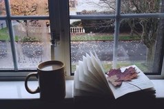 С холодной осенью чая будет больше...