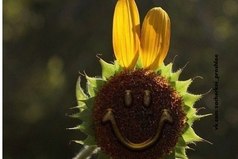 Любую депрессию надо встречать с улыбкой. Депрессия подумает, что вы идиот и сбежит.