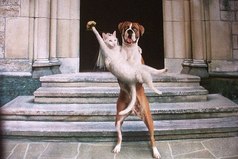 Порой самые счастливые пары складываются из совершенно разных людей.