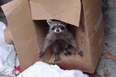 Это я получил диплом и стал очень успешным