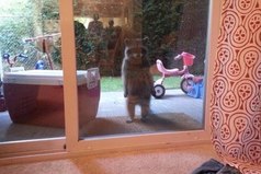 Это я с тоской осознаю, что все веселятся без меня