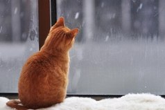 Сразу видно, что погода — женского рода. Всякие там дядьки-синоптики пытаются её спрогнозировать, а она что хочет — то и чудит!