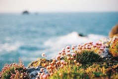 Если мы свободны от ожиданий, то каждое мгновение — подарок.