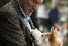 Не бросайте животных... прошу вас, они самые преданные и любят вас независимо от того, кто вы и сколько у вас денег. 