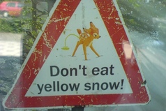 Совет на Новый год - не надо кушать желтый снег.
