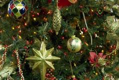 1 января - это день, когда просят прощение за новогоднюю ночь, даже если точно не помнят за что...