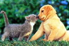 В жопу таких друзей, которые вспоминают мой номер, когда им что-то нужно...