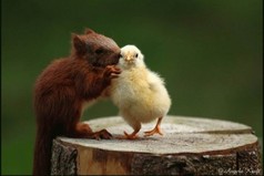 Самое трудное в дружбе - быть вровень с тем, кто ниже тебя...если ты в силах оказать другому любую услугу, взвесь прежде, по плечу ли она ему.