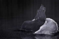 Жизнь - это всего лишь игра. И иногда нужно уметь терять что-то, даже если не хочется, чтобы затем выйти победителем.