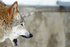 Информация не является знанием. Единственным источником знаний является опыт.