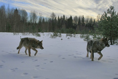Вы ищете во мне грязь, а я смеюсь над вами. Ведь, что вы ищете во мне, тем полны вы сами.