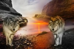 Никто тебе не друг, никто тебе не враг, но каждый для тебя учитель.