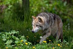 Чтобы подкова принесла удачу, надо вкалывать как лошадь.