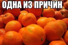 Одна из причин ждать Новый год
