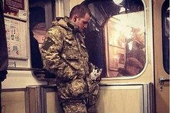 Если бы у каждого в кармане был котик, мир был бы добрее.