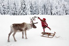 Дедушка Мороз, я очень тебя прошу, давай в 2016 году без оленей.