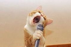 Я любила, я страдала, ты дебил, а я не знала...!!!