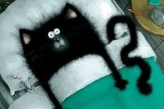 Иду я как-то утром на работу, спокойно иду, не опаздываю. И тут понимаю, что вокруг одеяло, подушка, я в кровати и я сплю!