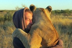 Львица обнимает человека, который спас её.