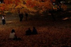 Любовь не имеет ничего общего с обладанием. Ее высшее проявление — предоставлять свободу.