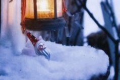 Зима-это волшебное время года! Но только мы сами можем сделать её незабываемой!