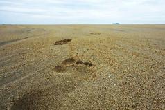 Все мы дети одного корабля по имени Земля, значит, пересесть из него просто некуда...