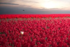 Но с возрастом я кое-чему научился. В частности: ты не обязан никому ничего объяснять, если тебе этого не хочется.