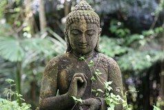 Умеренность, самоуглубление, созерцание и спокойное ожидание своего часа — путь к нирване. Срединный путь дает прозрение, знание; ведет к успокоению, высшему разуму, нирване.