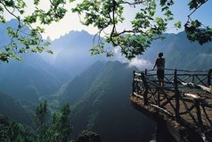 Так хочется иногда в поездку. Чтобы внутри свобода, чтобы ветер в окно, чтобы воздух пах будущим - ни плохим и ни хорошим, но своим. И чтобы за окном поля, леса, луга, другой город, другая страна, другой мир - мир твоей собственной дороги.