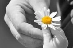 Я люблю жизнь, черно-белые фото, улыбаюсь малышам, смотрю фильмы про любовь и плачу, люблю ромашки и мыльные пузыри,ну и что,что я наивная,за то я умею жить и любить.