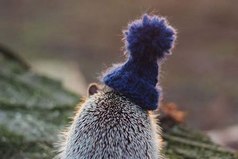 Вот и снова пришло то время года, когда твоя шапка решает, какая у тебя будет прическа.