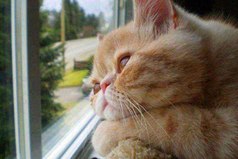 Солнце светит, но не греет. Отпуск греет, но не светит...