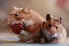 Главное до 18:00 успеть!