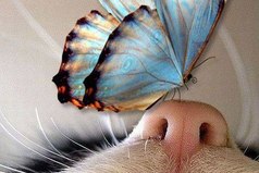 Если заменить для себя слово «проблема» на слово «приключение», то жить становится гораздо проще и интереснее.