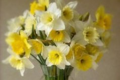 В нас расцветает то, что мы питаем, таков вечный закон природы.