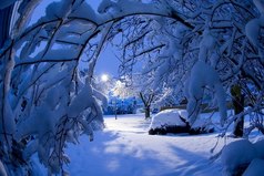 Хотелось бы чего-то необычного этой зимой. Например, снега.