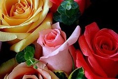 Слишком вредная привычка— Вспоминать того, кто предал.. Не сложилось?.. И отлично – Значит, он твоим и не был..