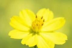 На многое ответа я не знаю, - на всё есть лишь у Господа ответ. Но лишь одно я твёрдо понимаю, - что лучше добрых слов лекарства нет!