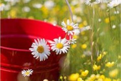 Свеча становится самой красивой только тогда, когда излучает свет. Тоже самое можно сказать и про человека.